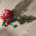 Ветка цветущего граната