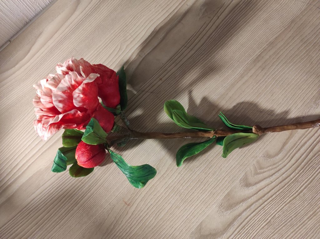 Ветка цветущего граната