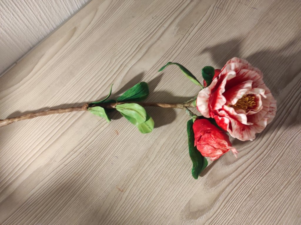 Ветка цветущего граната