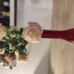 Ветка кустовой розы из холодного фарфора