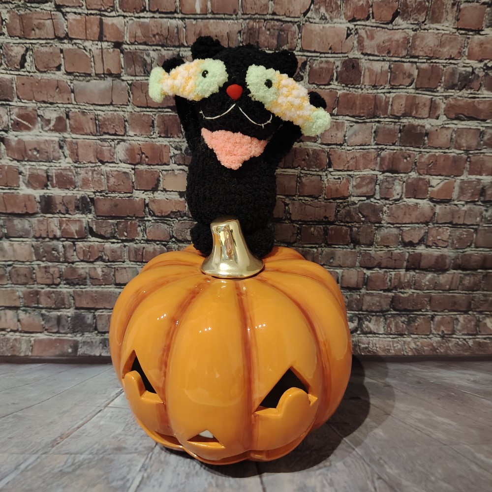 Кот рыбак в бандане к Хэллоуину