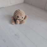 Осьминог маленький