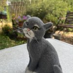Котик. Игрушка из шерсти