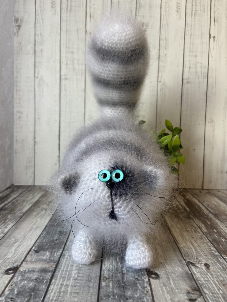 Кот «Бандит»