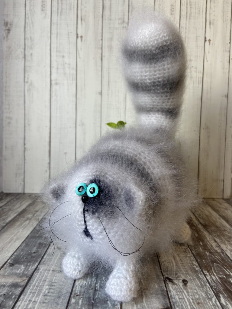 Кот «Бандит»