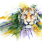 Картина «Амурский тигр»