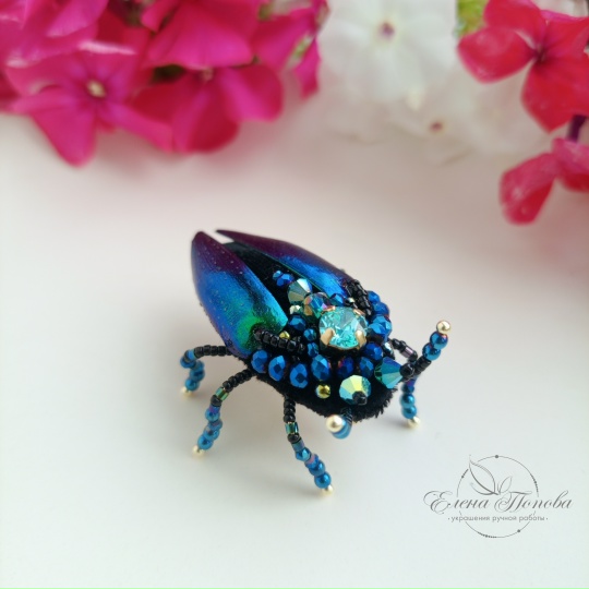 Брошь жук Златка