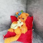 персидская кошка