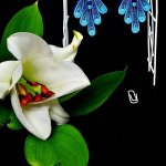 Серьги квиллинг — графика