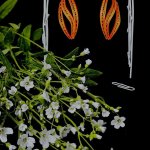 Серьги квиллинг — графика