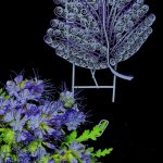 Ажурная брошь — лист квиллинг-графика.