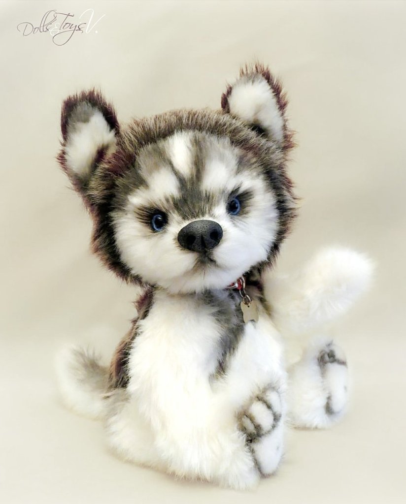 Щенок Хаски в стиле Тедди «Граф»