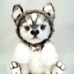 Щенок Хаски в стиле Тедди «Граф»