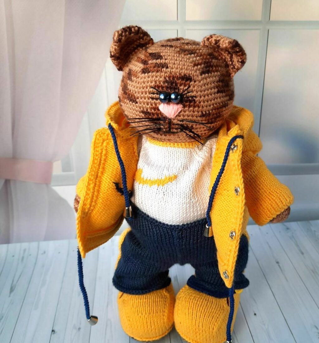 Кот в спортивном костюме