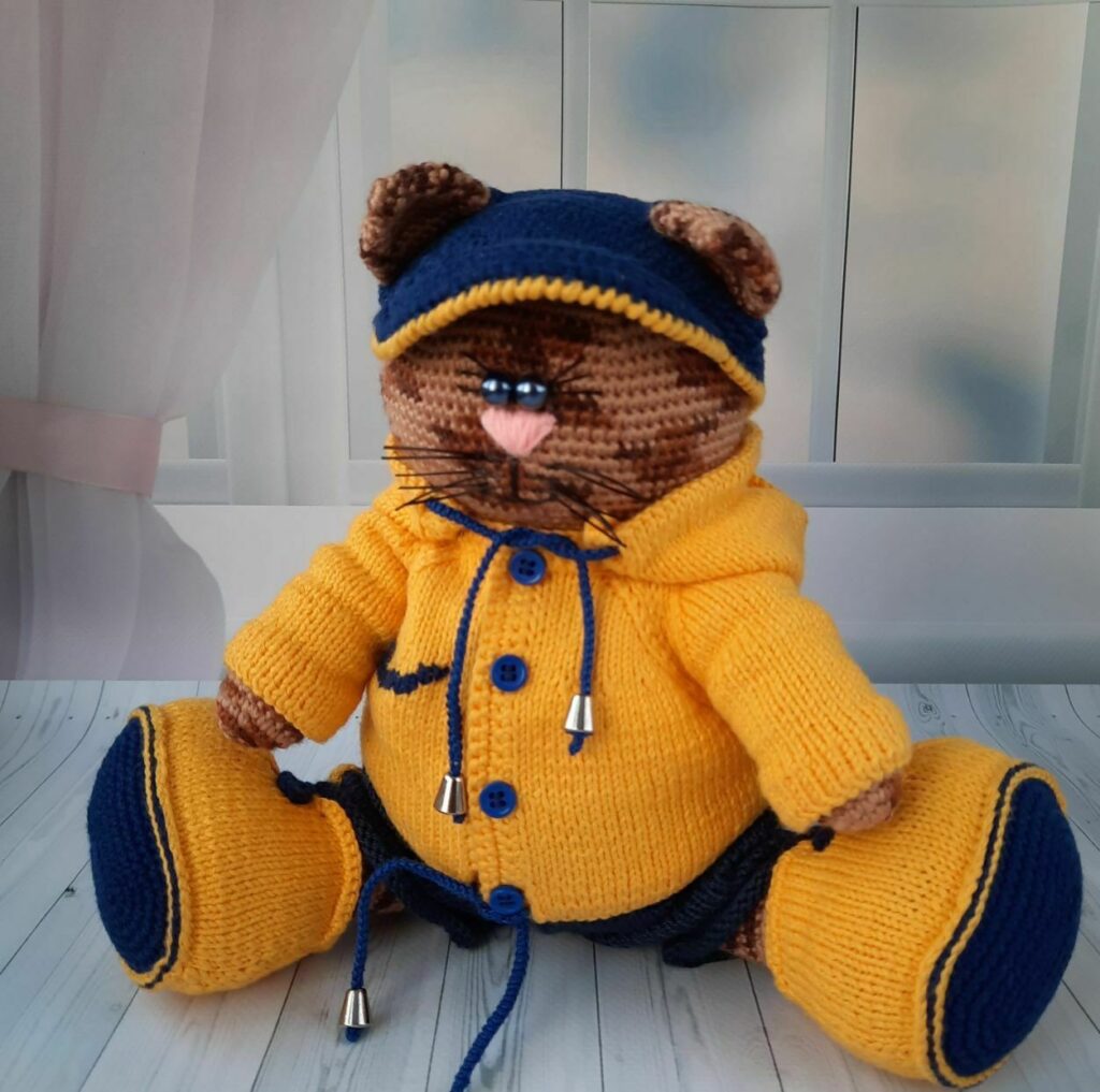 Кот в спортивном костюме