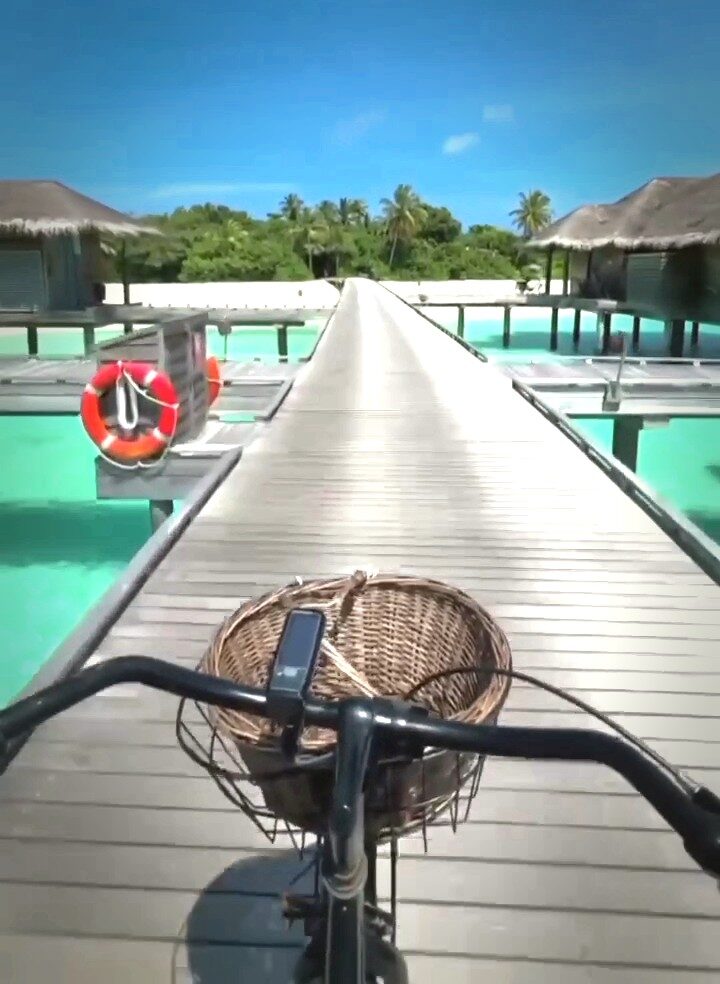 Корзина для велосипеда/самоката