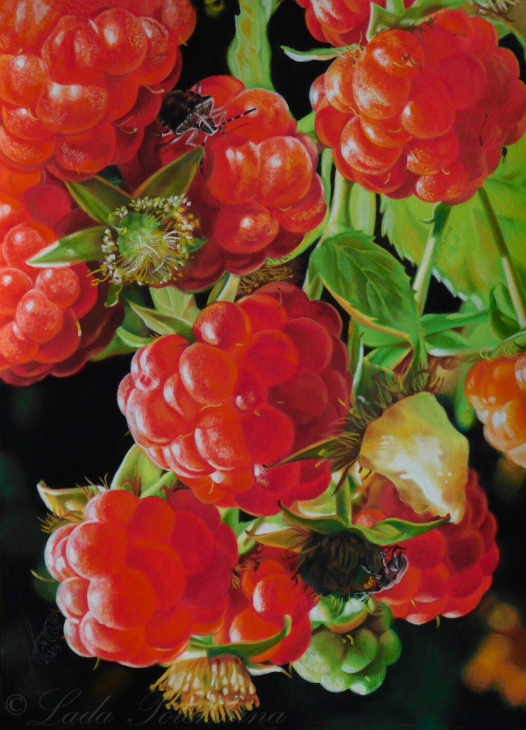 Три жука в малине