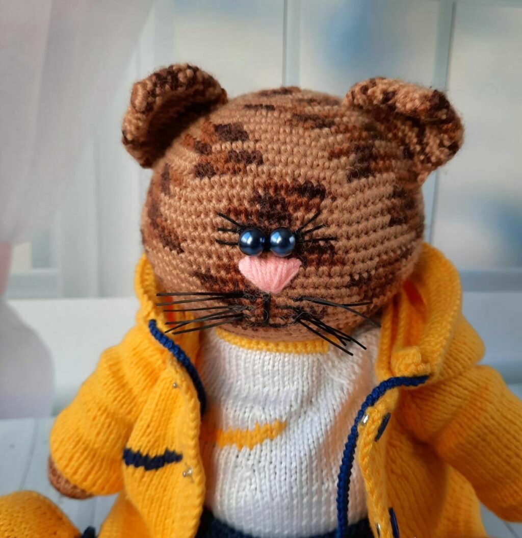 Кот в спортивном костюме