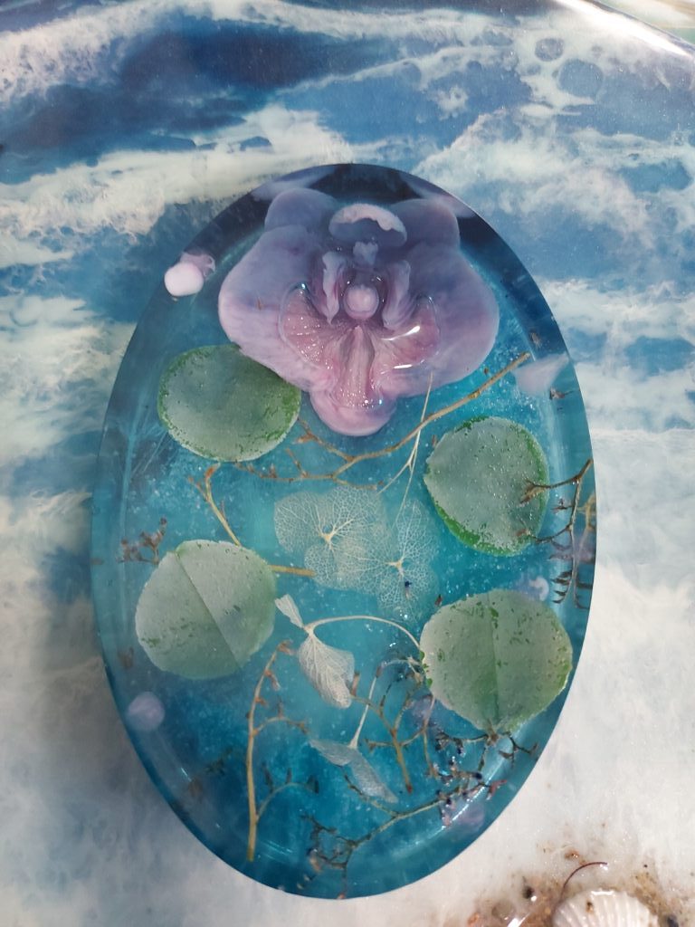 Мыльница морская