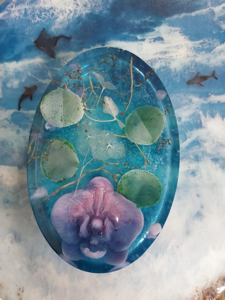 Мыльница морская