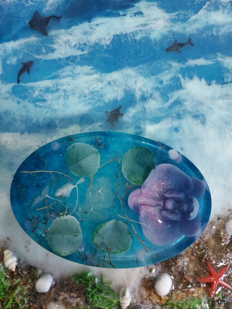 Мыльница морская