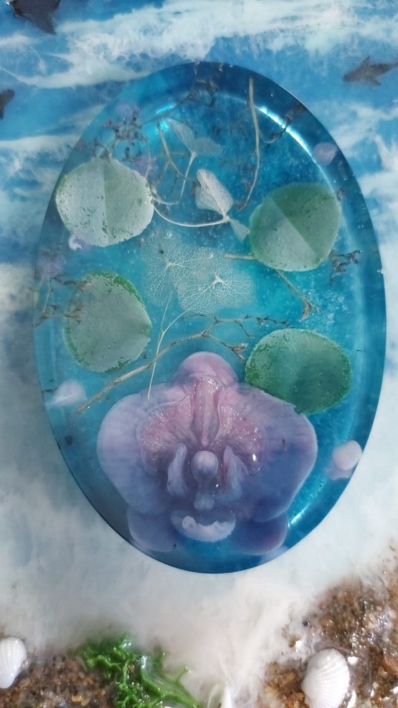 Мыльница морская