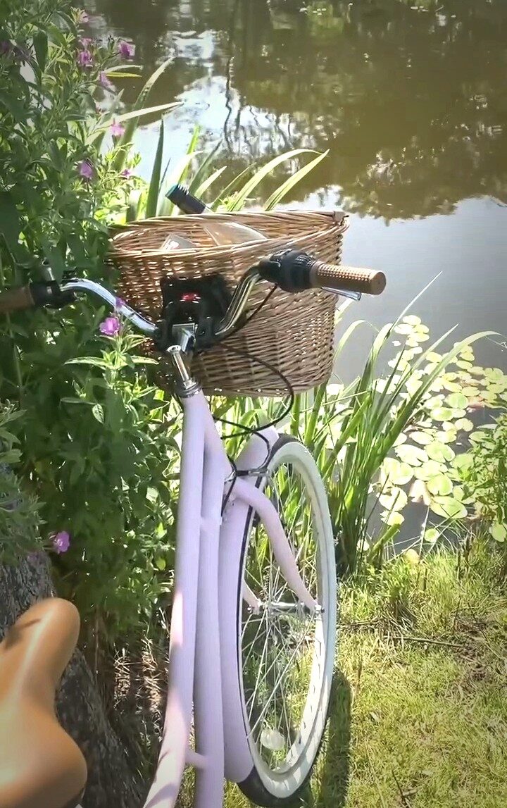 Корзина для велосипеда/самоката