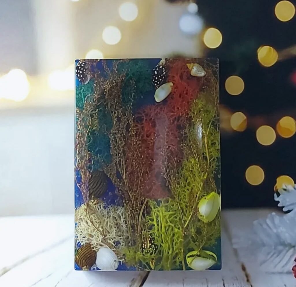 Мыльница морская