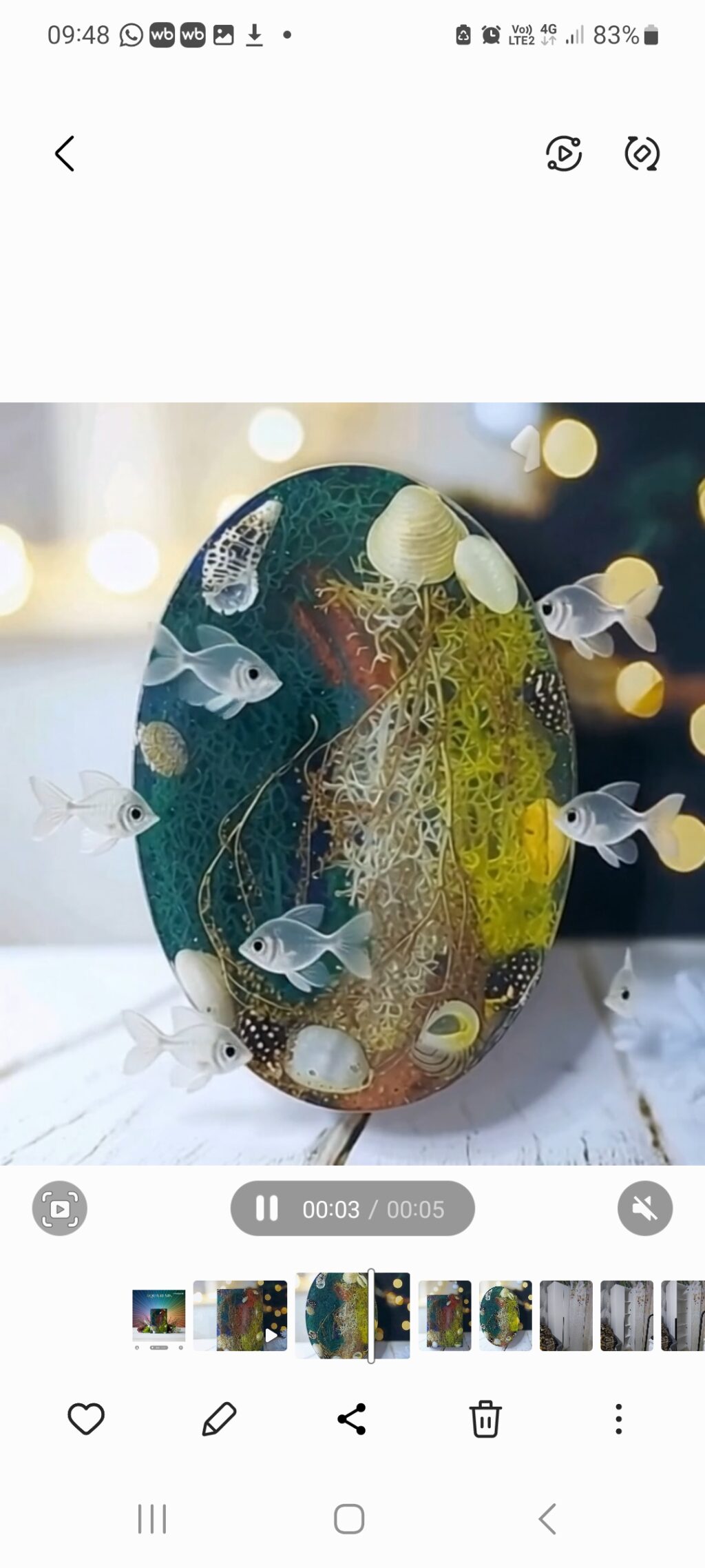 Мыльница морская