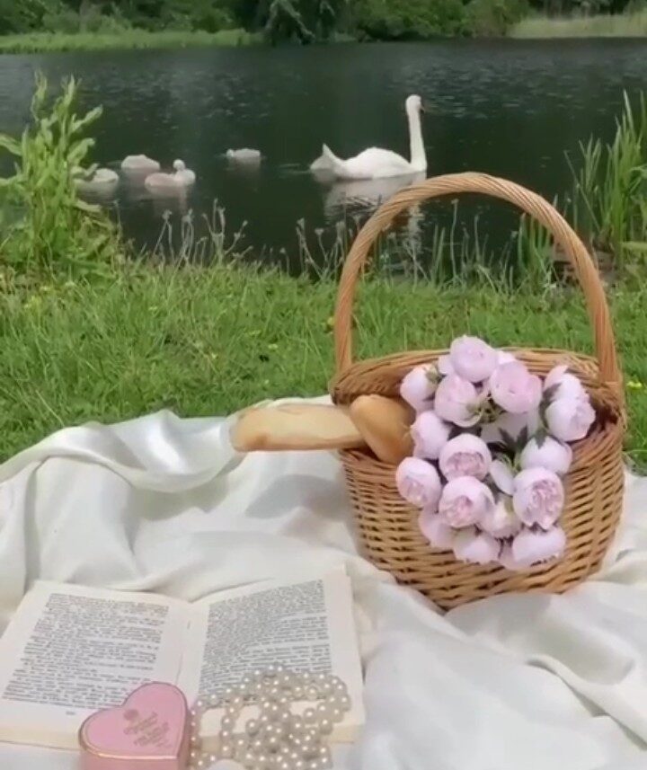 Корзина для пикника