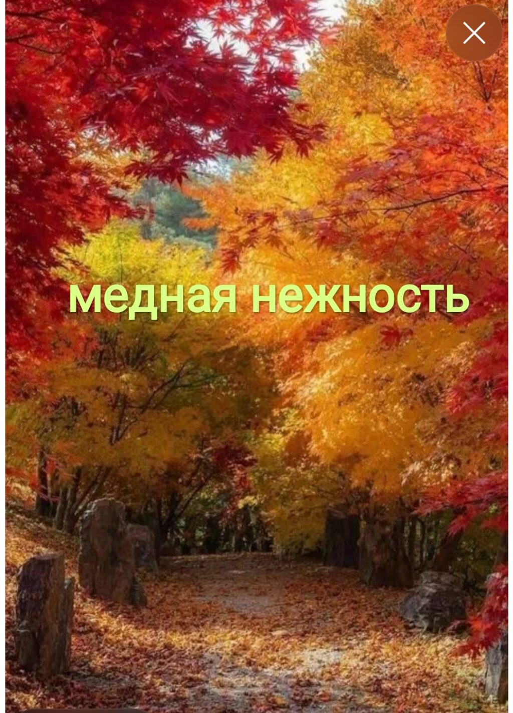 Медная нежность