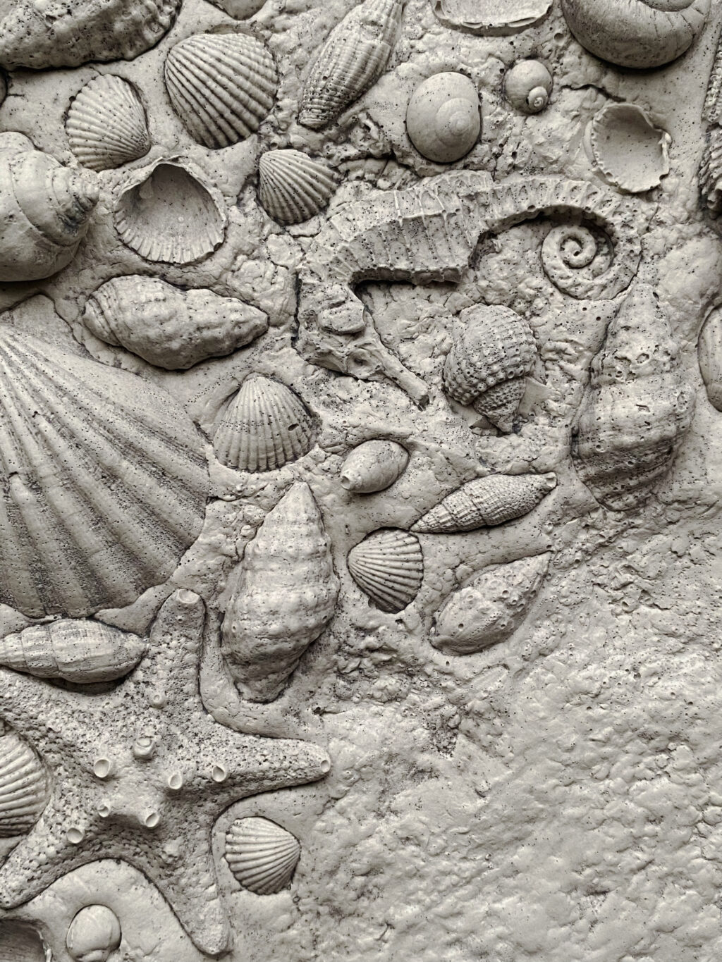 Гипсовый поднос «Глубины моря»