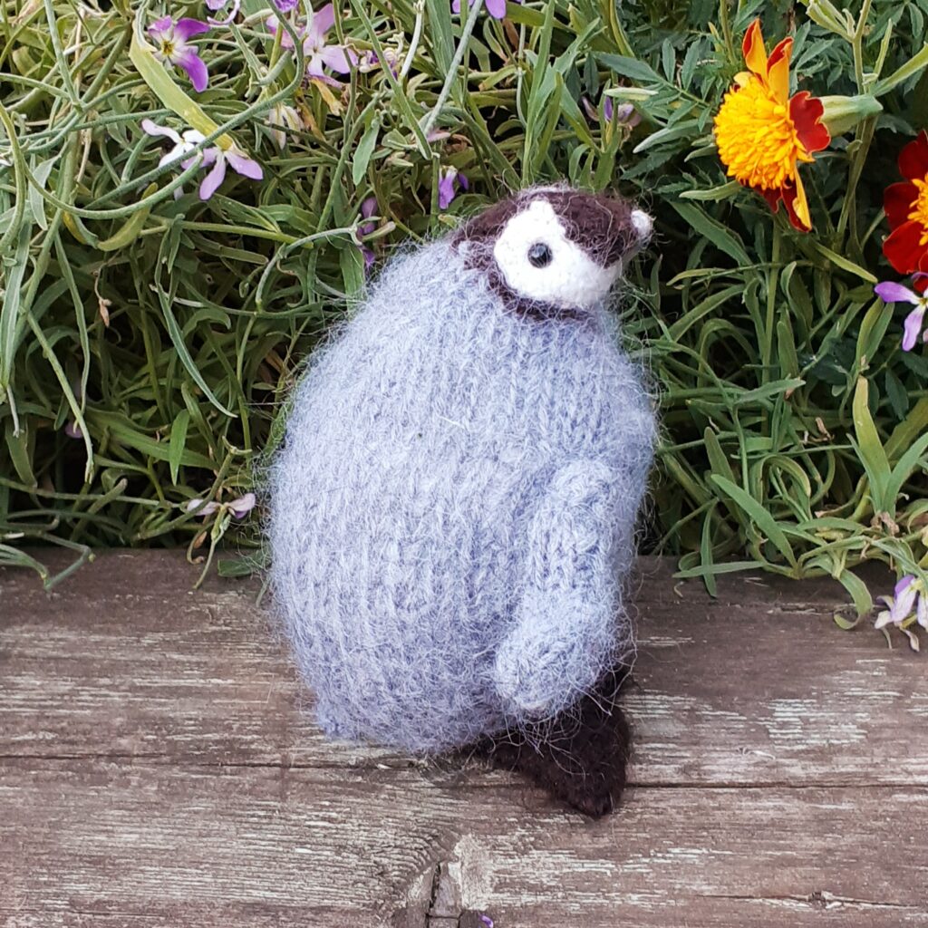 Пингвин в свитере