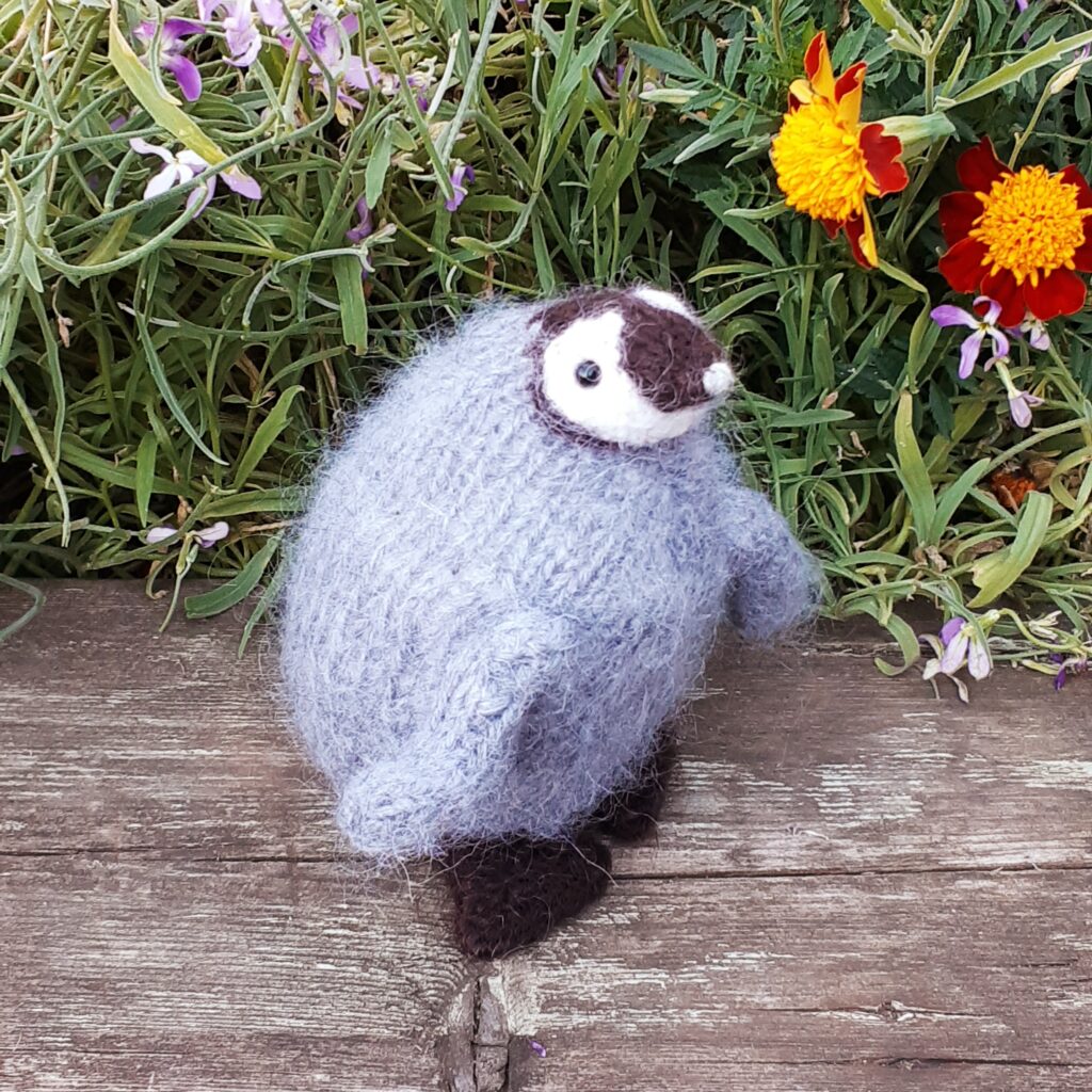 Пингвин в свитере