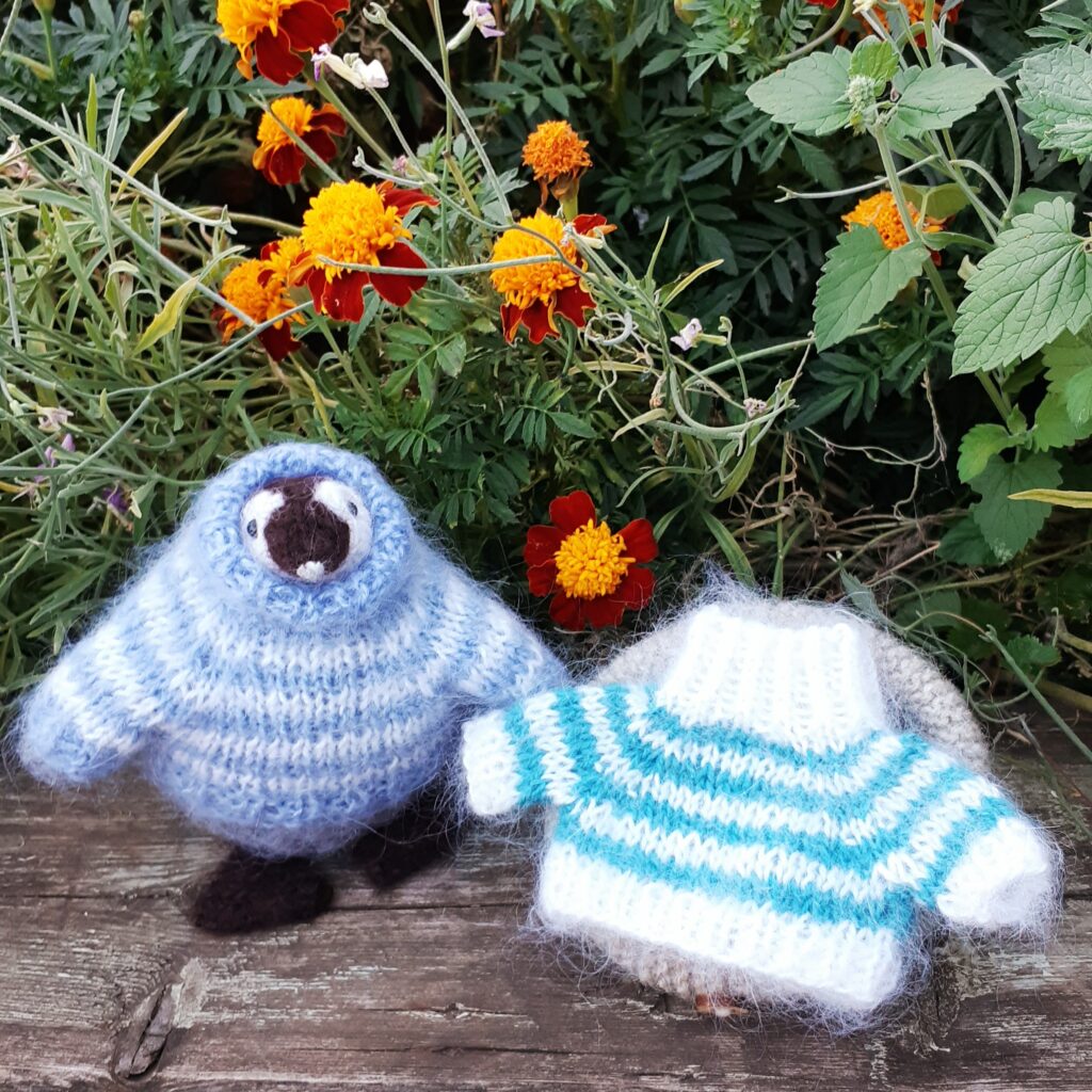 Пингвин в свитере