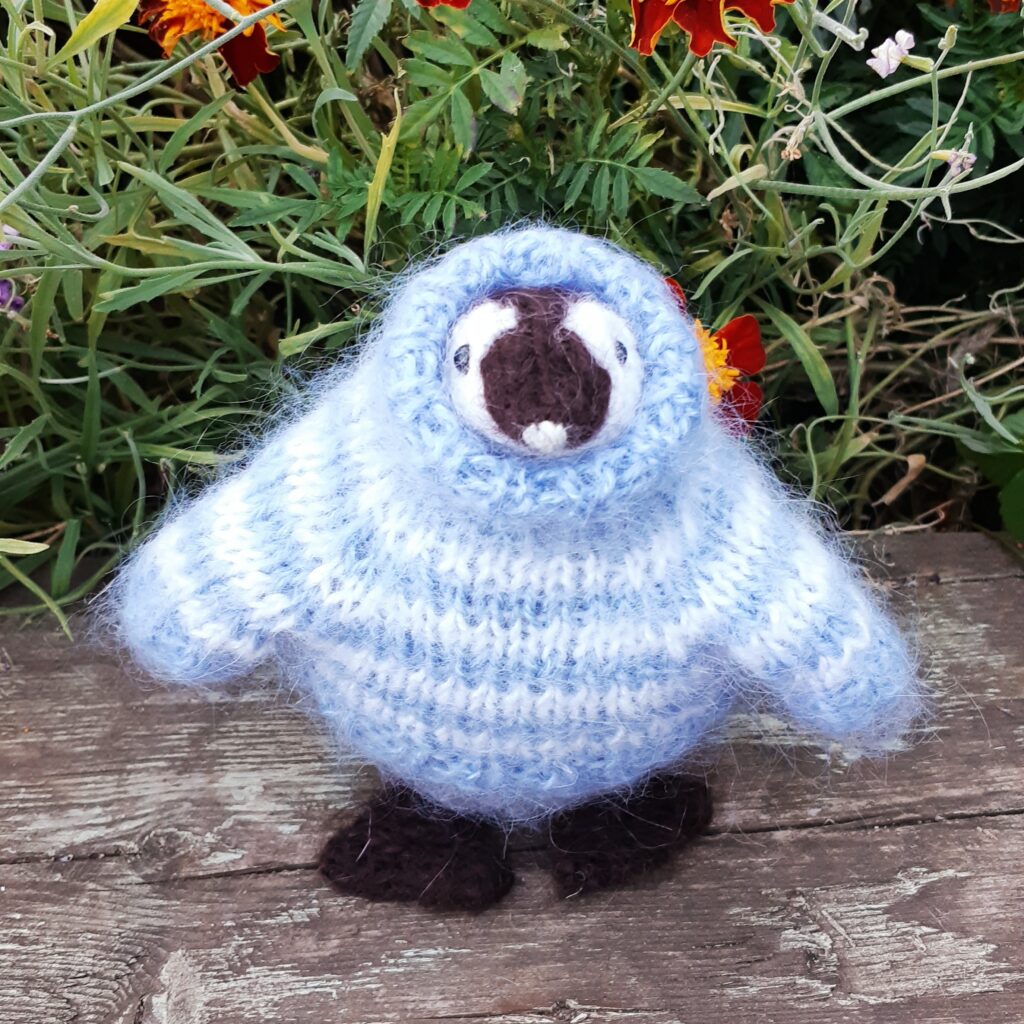 Пингвин в свитере