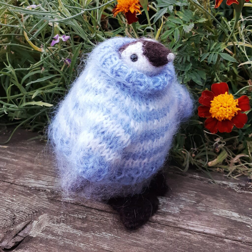 Пингвин в свитере