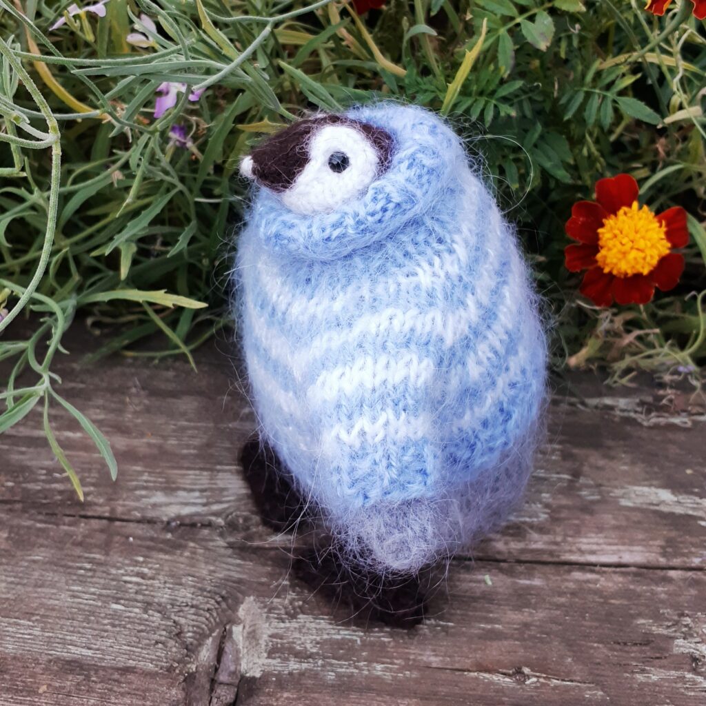 Пингвин в свитере