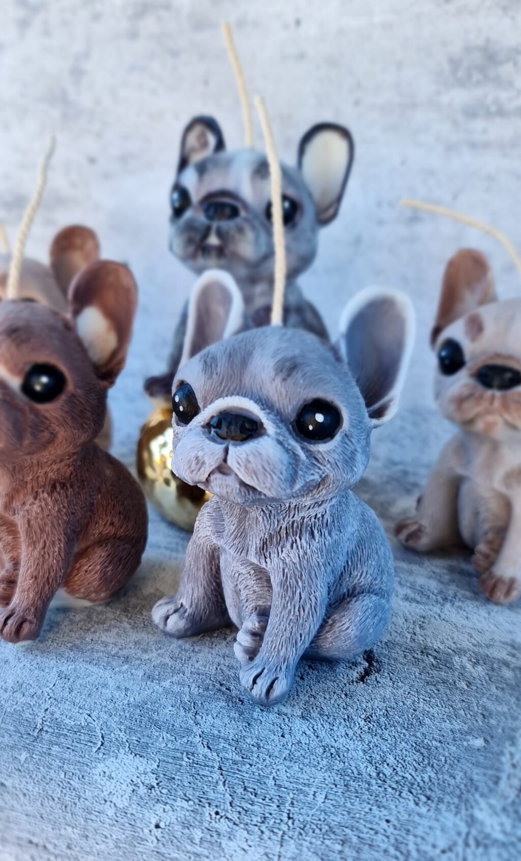 Французский бульдожка