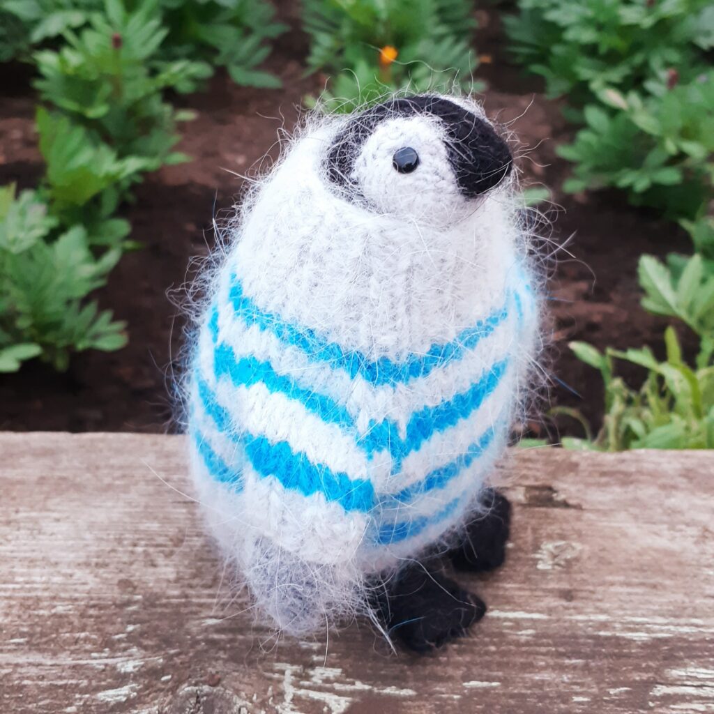 Пингвин в свитере