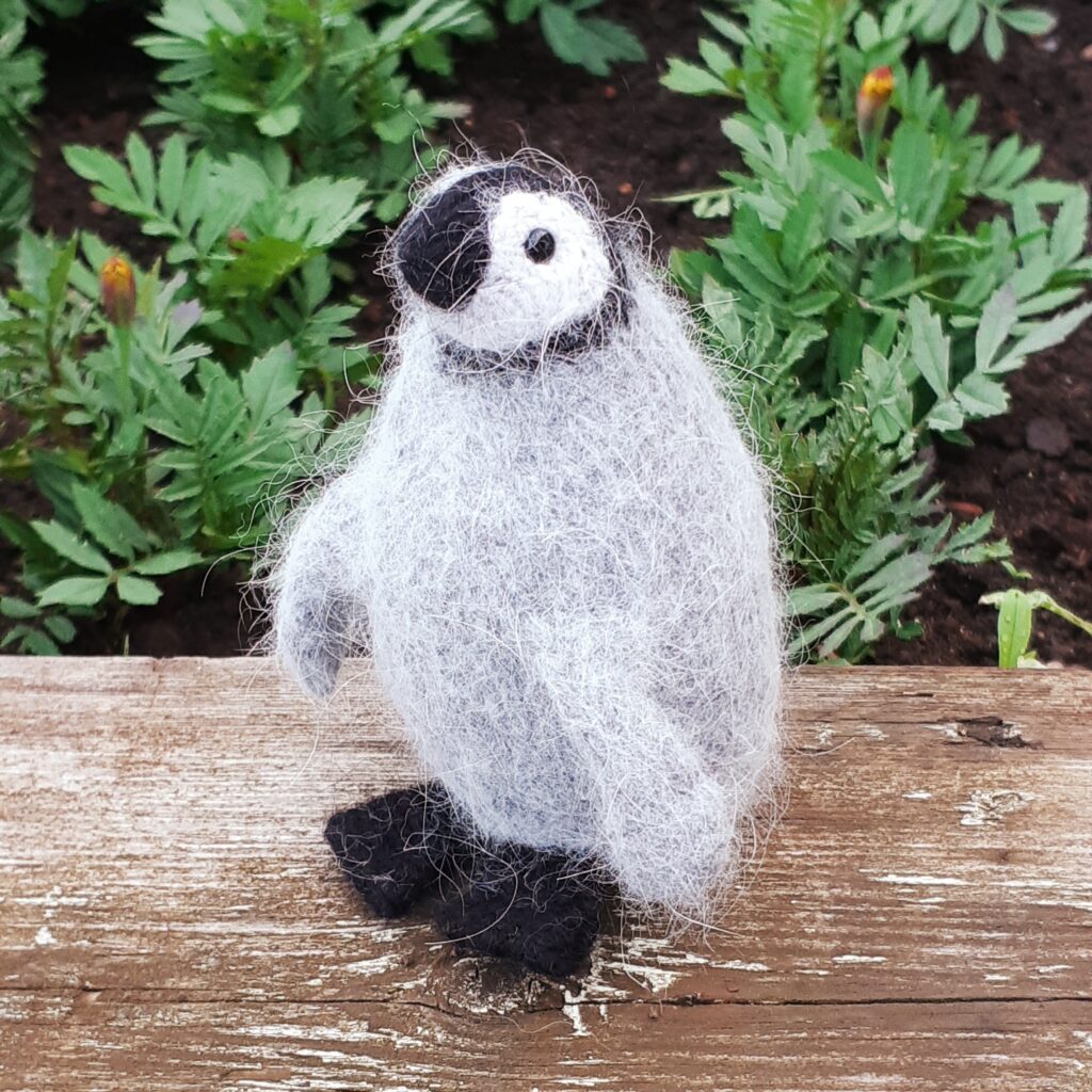 Пингвин в свитере