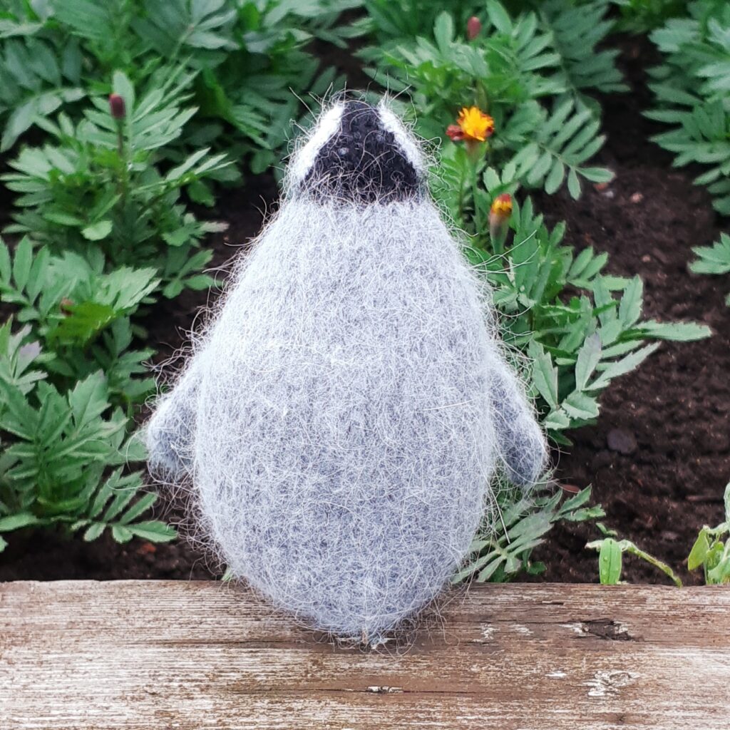 Пингвин в свитере