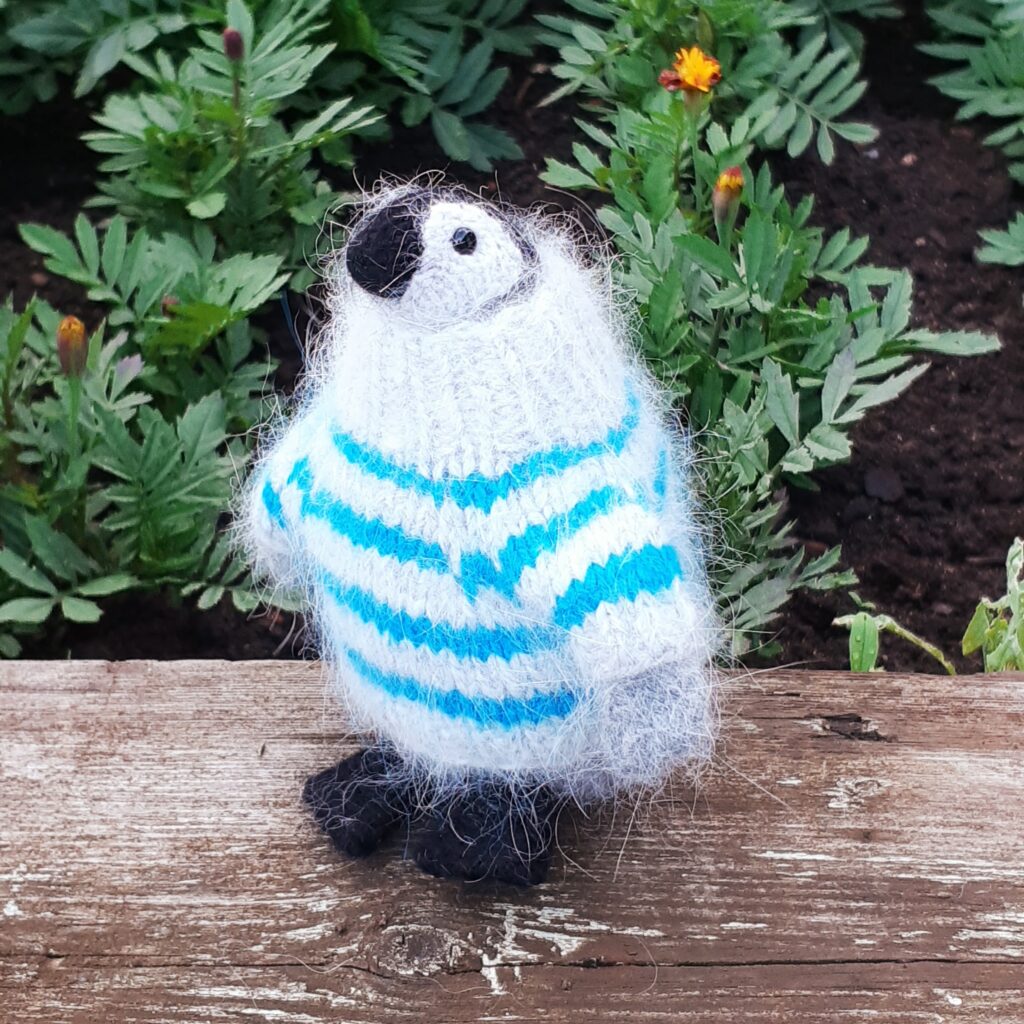 Пингвин в свитере