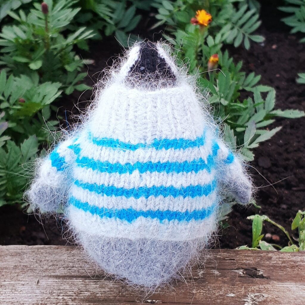 Пингвин в свитере