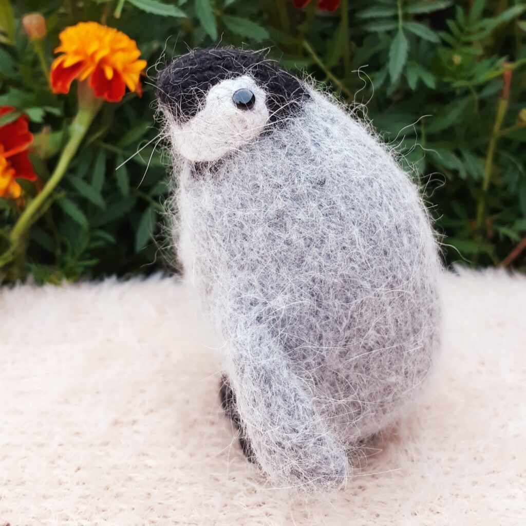 Пингвин в свитере