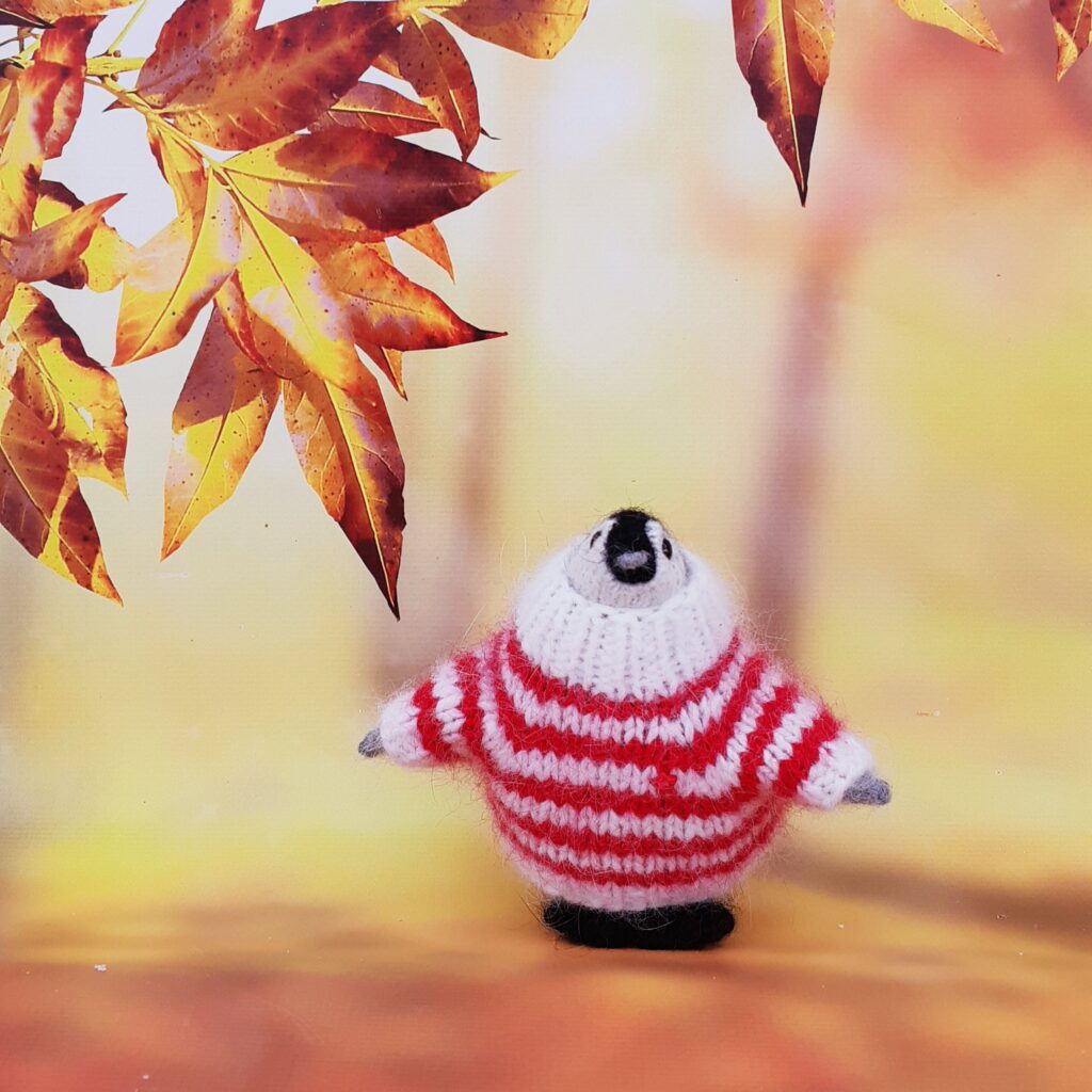 Пингвин в свитерочке