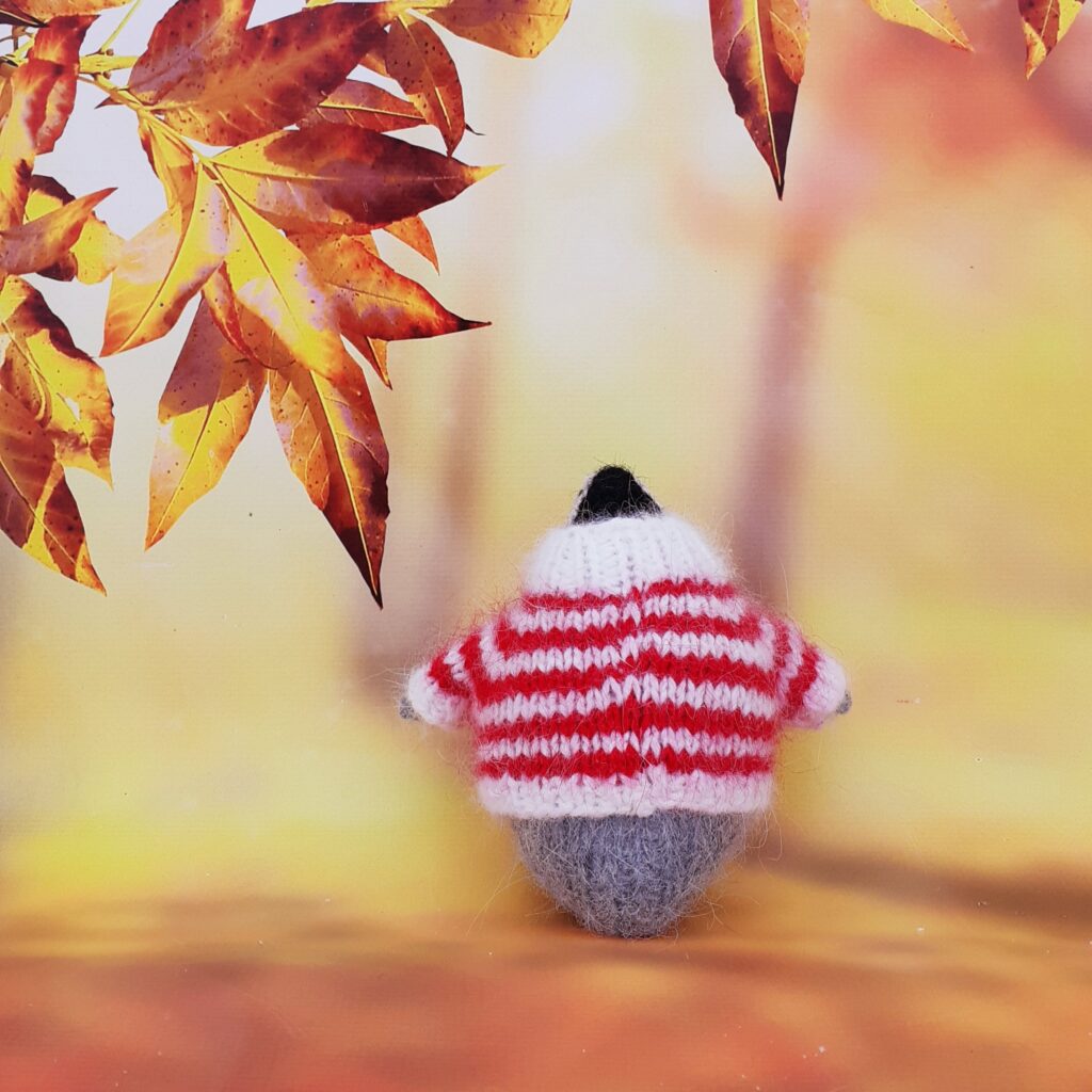 Пингвин в свитерочке