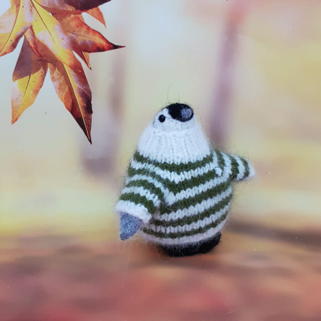 Пингвин в свитерочке