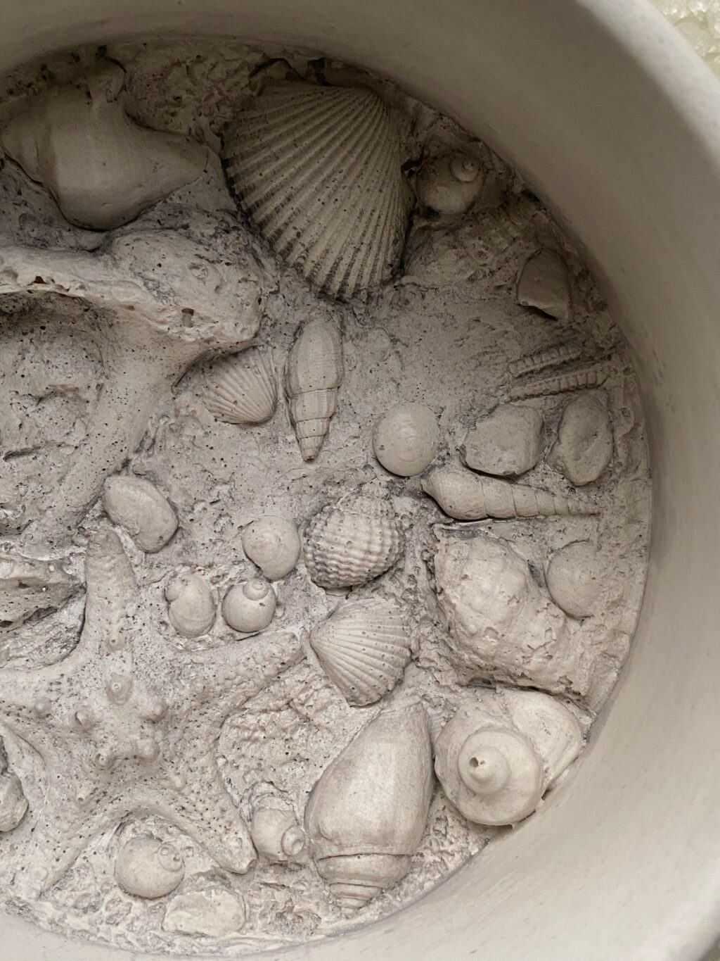 Гипсовая шкатулка «Шепот моря»