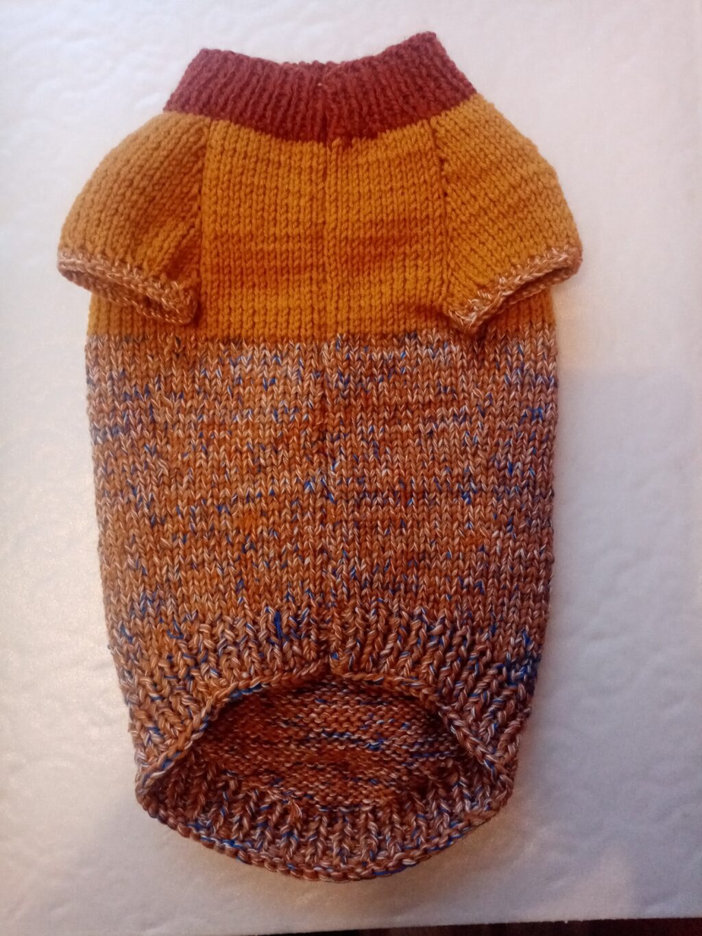 Одежда для собак